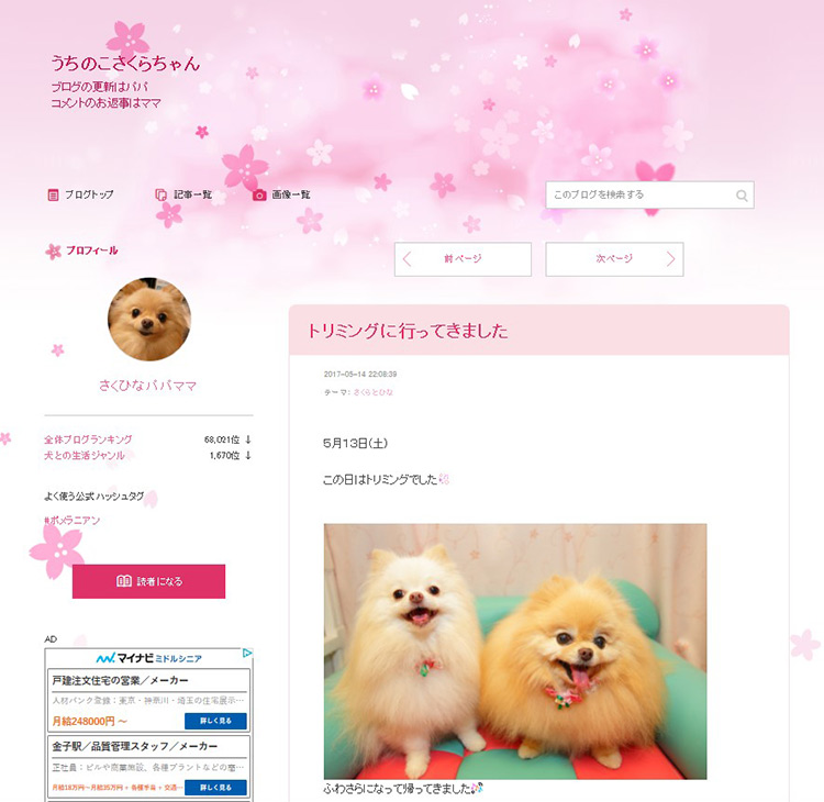うちのこさくらちゃんのブログ