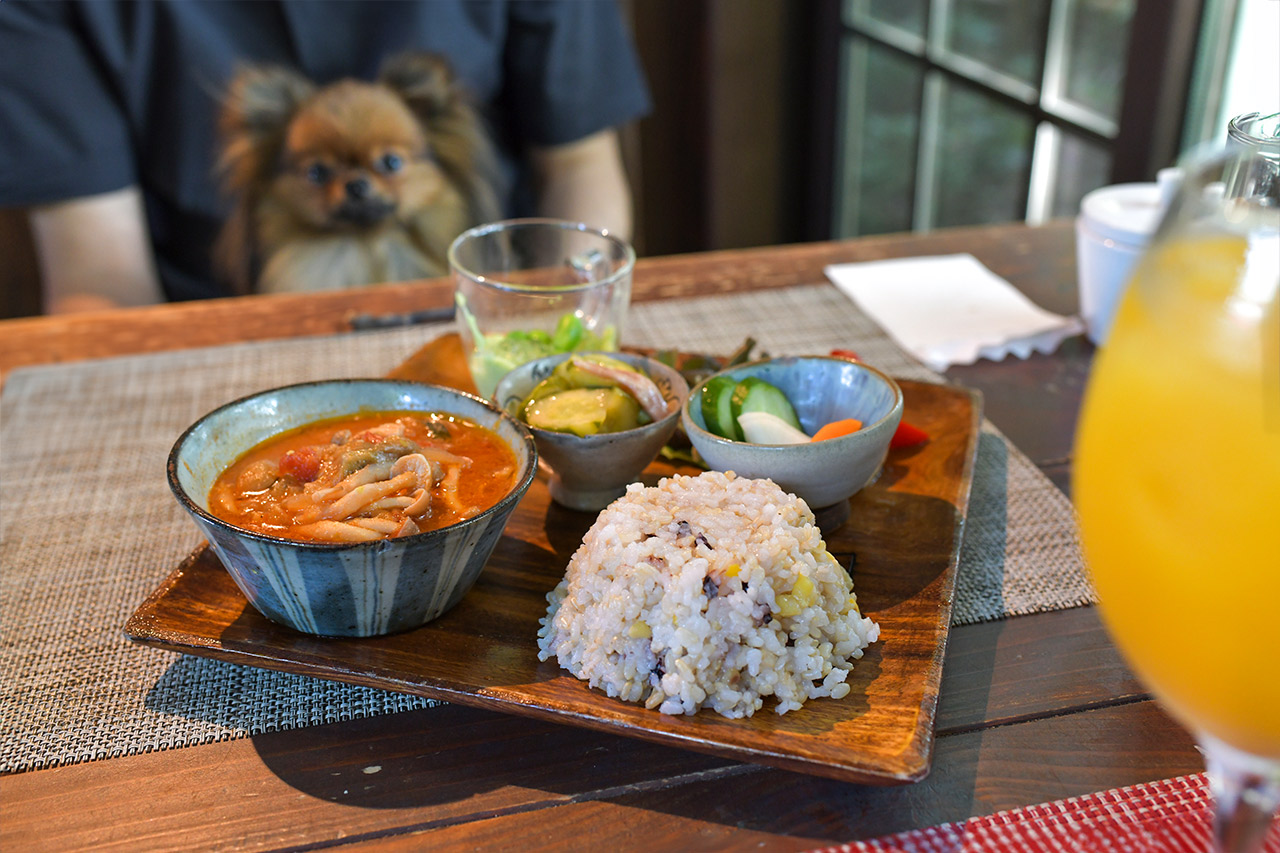 アウトドアカフェ山小屋　雑穀米ランチ