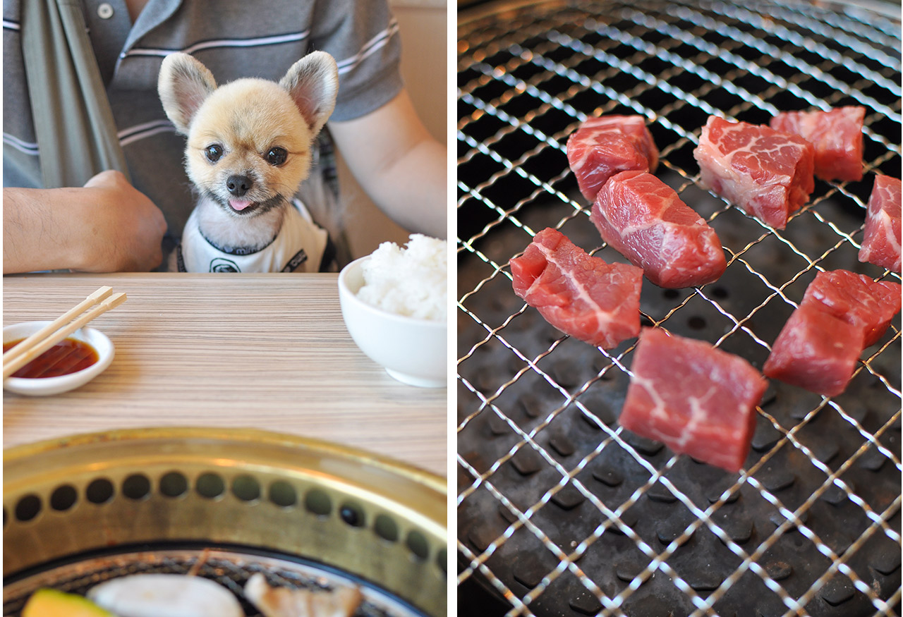 お台場 焼肉うしすけ　わんちゃんロース