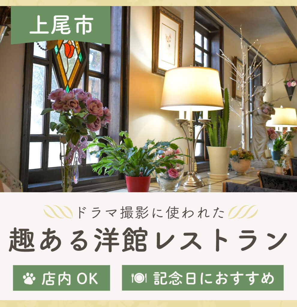 シェマシオ上尾レビュー