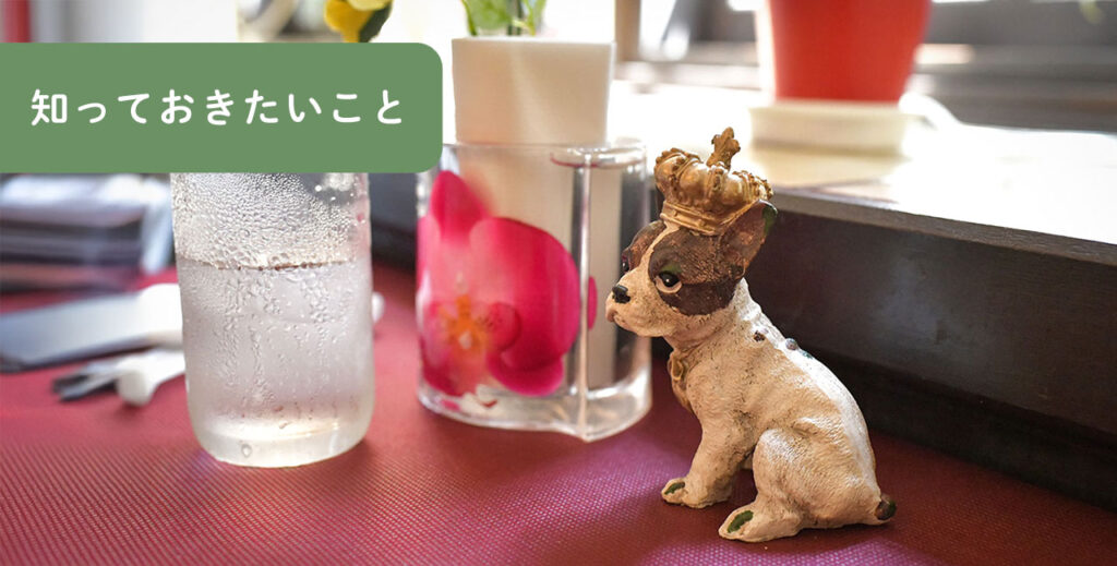 シェマシオ テーブルセッティングと犬の置物