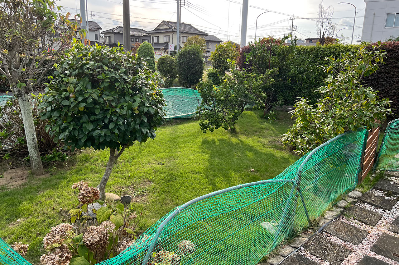 goro's cafe ドッグラン