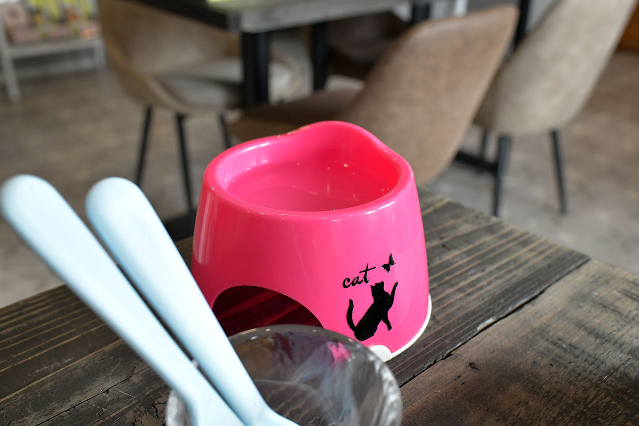 ナニカフェのドッグサービス