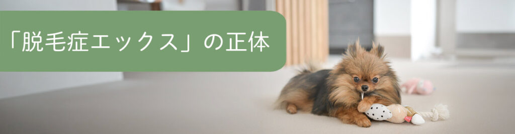 脱毛症Xの原因
